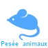 Processus de détermination de la masse d'un animal qui peut se déplacer de manière incontrôlable sur le plateau. Par conséquent, la détermination de la masse nécessite beaucoup plus de temps que lors d’une pesée traditionnelle. Le temps pendant lequel la masse de l'animal pesé est contrôlée est défini par l'utilisateur. Vous pouvez ainsi optimiser cette fonction suivant l'activité de l'animal pesé.